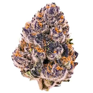 Apple Fritter