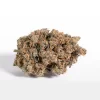 Black Cherry OG