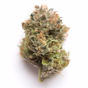Gelato #33 strain