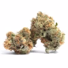 Gelato #41