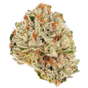 Gelato Cake