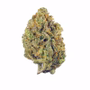 Gelato Mints