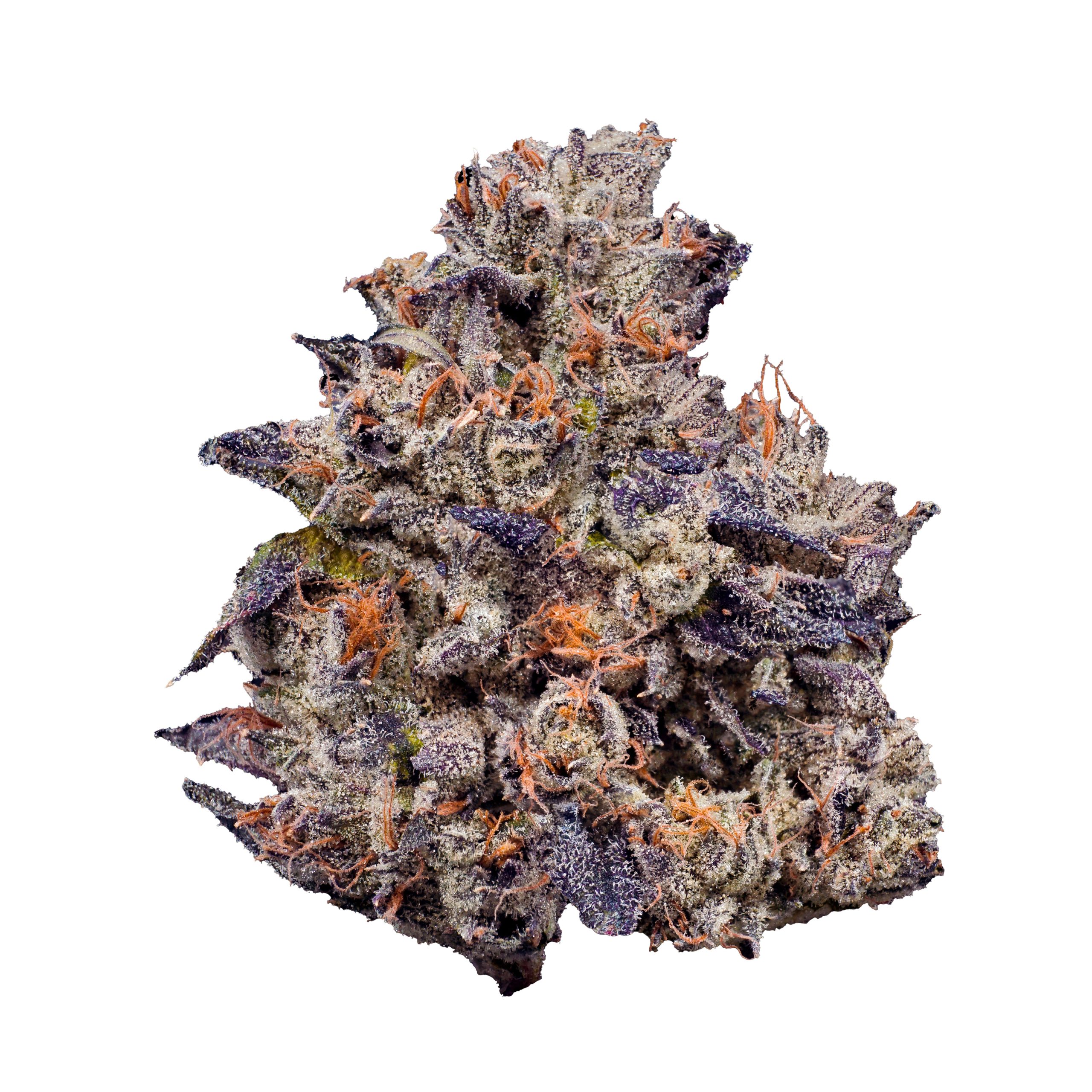 Lemon Cherry Gelato