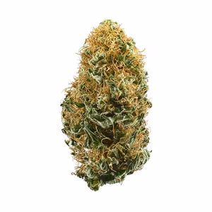 White Widow 